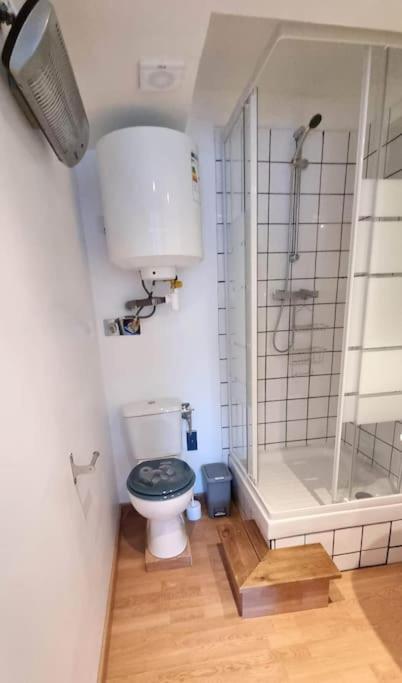 Studio En Rez De Jardin Avec Terrasse Privee - Le Petit Chateau Avesnois - Tv - Wifi - Logement Complet Avesnes-sur-Helpe Zewnętrze zdjęcie