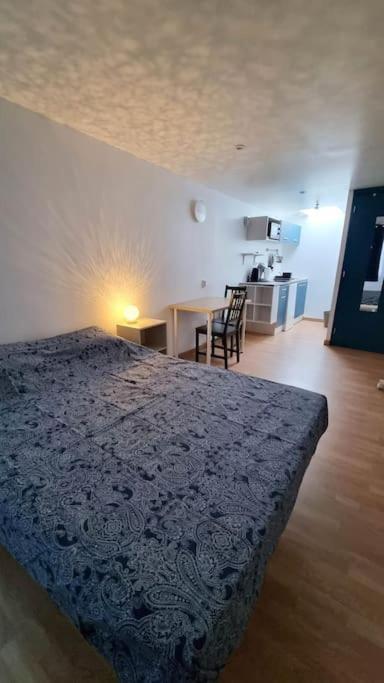 Studio En Rez De Jardin Avec Terrasse Privee - Le Petit Chateau Avesnois - Tv - Wifi - Logement Complet Avesnes-sur-Helpe Zewnętrze zdjęcie